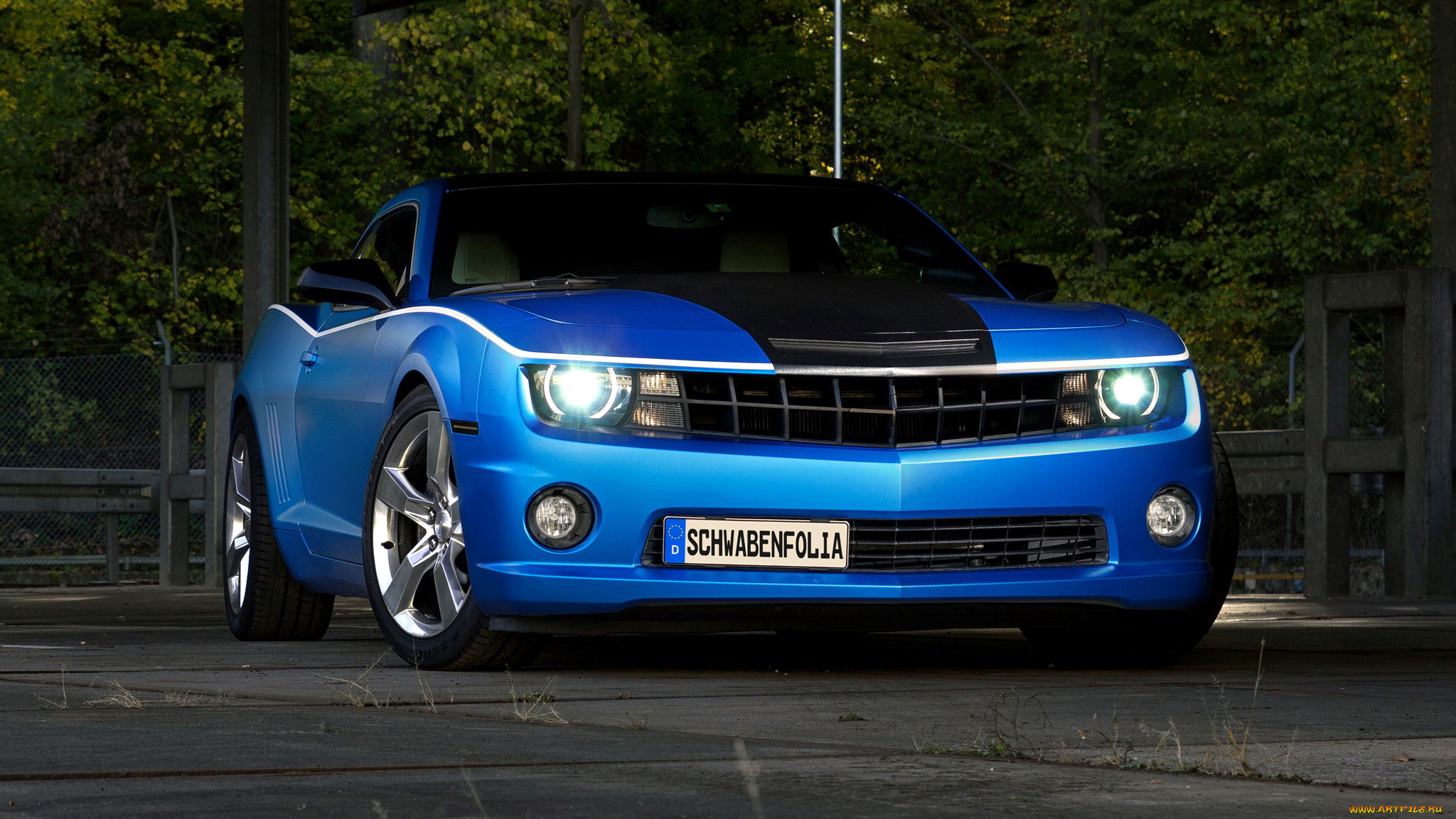 chevrolet, camaro, , , gm, division